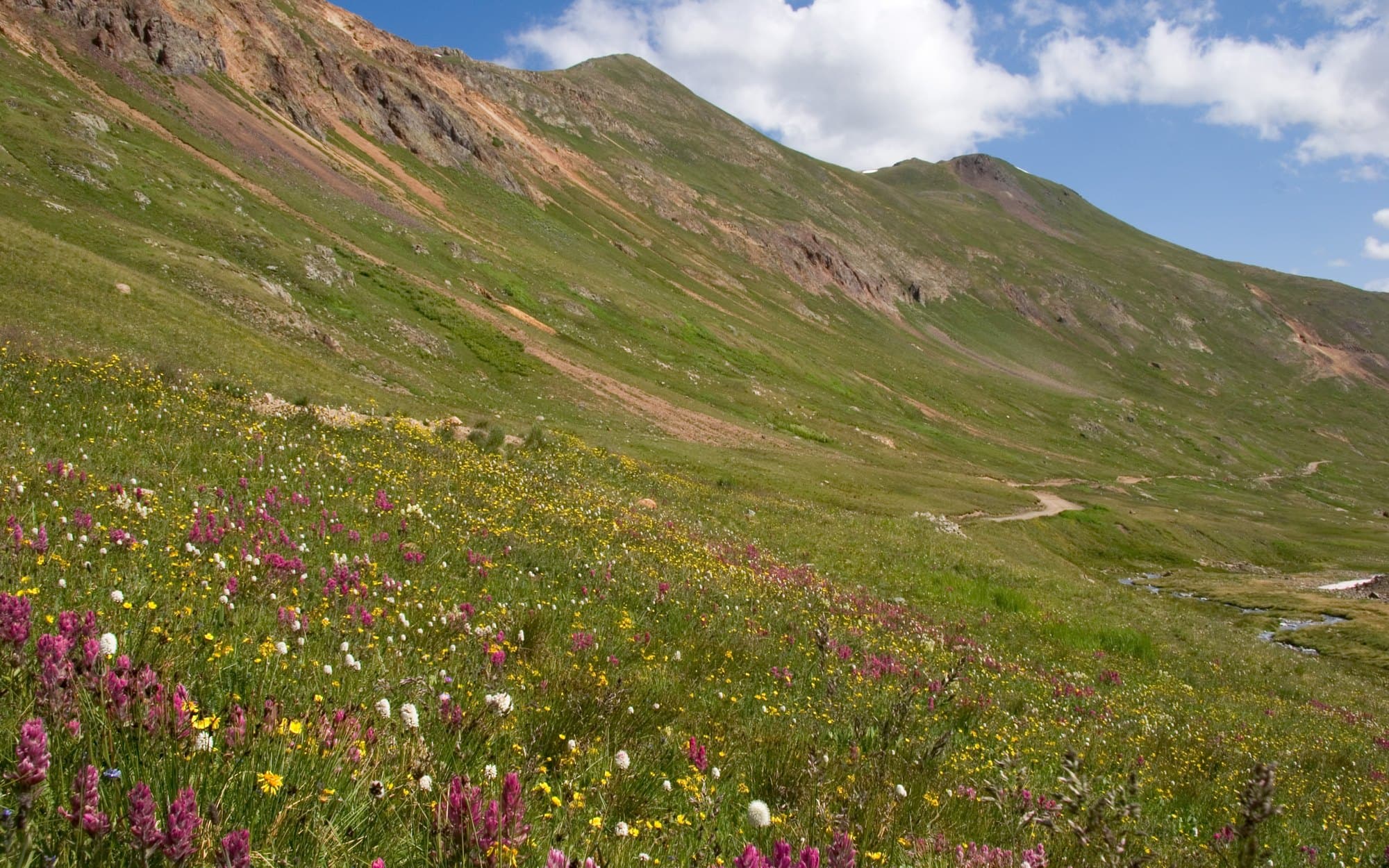 California Gulch